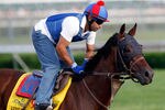 LOUISVILLE, KY - MAY 03: Went The Day Well trains on the track in preparation for the 138th Kentucky Derby at Churchill Downs on May 3, 2012 in Louisville, Kentucky.  (Photo by Rob Carr/Getty Images)