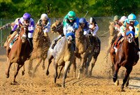 Predicting How Top Finishers Will Do at Belmont