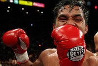Most Explosive Fighers in Boxing