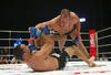 Openingslide-sherdog_crop_100x68