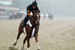 ELMONT, NY - MAY 25:  Kentucky Derby, and Preakness winner I'll Have Another is ridden by exercise rider Humberto Gomez at Belmont Park on May 21, 2012 in Elmont, New York.  (Photo by Al Bello/Getty Images)