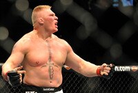 White: Brock Lesnar May Return