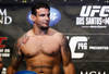 036_frank_mir_large_crop_100x68