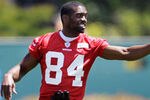 Randy-moss-120510-ia_crop_150x100
