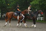 ELMONT, NY - MAY 25:  Kentucky Derby, and Preakness winner I'll Have Another ridden by exercise rider Humberto Gomez walks to the racetrack at Belmont Park on May 21, 2012 in Elmont, New York.  (Photo by Al Bello/Getty Images)