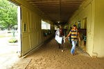 ELMONT, NY - MAY 25:  Kentucky Derby, and Preakness winner I'll Have Another is walked in his barn at Belmont Park on May 21, 2012 in Elmont, New York.  (Photo by Al Bello/Getty Images)