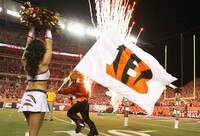 5 Reasons Bengals Fans Should Be Excited for 2012