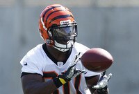 Reasons Bengals Should Be Confident Going into OTAs