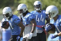 10 Lions Shining at OTAs