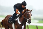ELMONT, NY - MAY 25:  Kentucky Derby, and Preakness winner I'll Have Another is ridden by exercise rider Humberto Gomez at Belmont Park on May 21, 2012 in Elmont, New York.  (Photo by Al Bello/Getty Images)