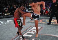 Most Underrated Fighter in Each Division