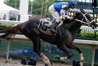 Looking Back at Other Triple Crown Contenders