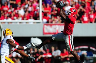 Boykin_original_original_crop_310x205