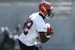 CINCINNATI, OH - MAY 11: Mohamed Sanu #12 of the Cincinnati Bengals works out during a rookie minicamp at Paul Brown Stadium on May 11, 2012 in Cincinnati, Ohio. (Photo by Joe Robbins/Getty Images)