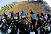 Odds for Belmont's Top Contenders