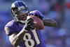 BALTIMORE, MD - OCTOBER 14: Wide receiver Anquan Boldin #81 of the Baltimore Ravens pulls in a catch in the third quarter against the Dallas Cowboys at M&T Bank Stadium on October 14, 2012 in Baltimore, Maryland. The Baltimore Ravens won, 31-29. (Photo by Patrick Smith/Getty Images)