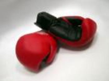 Gloves_202_display_image