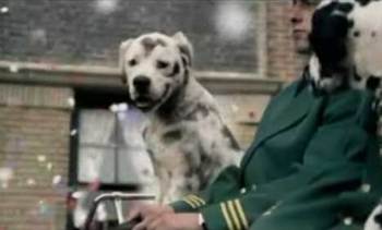 Budweiser-dalmatian_display_image