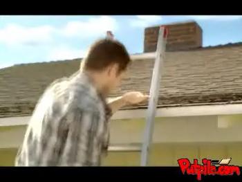 Roof_display_image