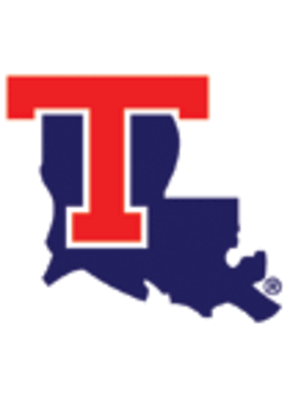 Mttlogo_display_image