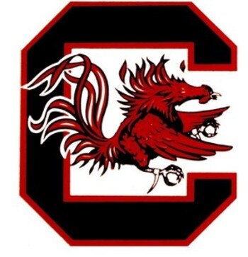 South_2520carolina_2520gamecocks_display_image