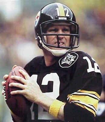 Bradshaw_display_image