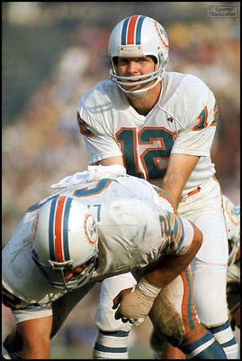 Griese2_display_image