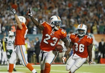 Dolphins_display_image