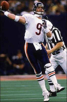Bears_display_image