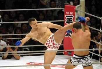 Crocopsilva1_display_image