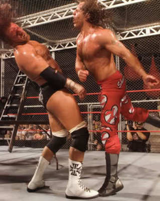 افضل اللحضات في wwe عام 2011  ShawnMichaels027_display_image