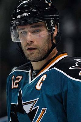 Marleau_display_image