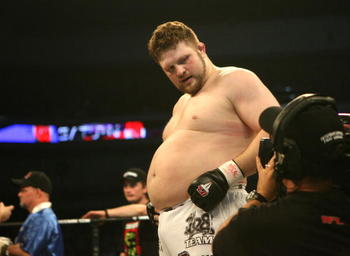 Fat Boxer 24