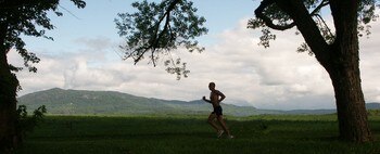 Lonerunner_display_image