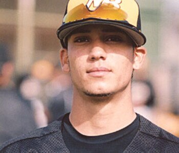 Mattbush_display_image