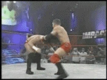 Canadiandestroyerani_display_image