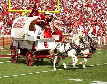 Oklahomasoonerstailgate3_display_image