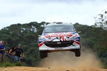 Flymeeke_display_image