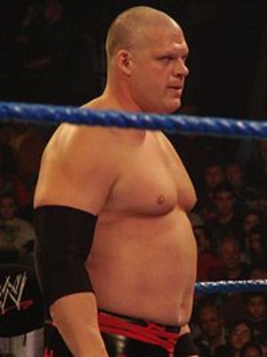 Bret_display_image