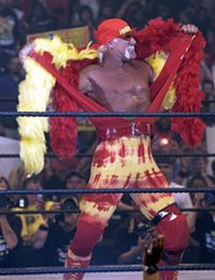 Bret_display_image