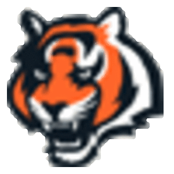 Cinbengals_display_image