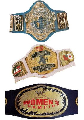 Wombelt2_display_image
