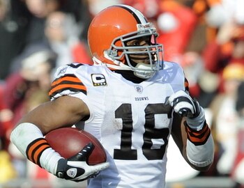 Cribbs_display_image