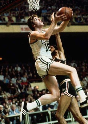 Cowens_display_image
