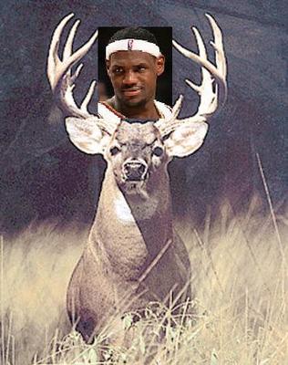 Buck_display_image