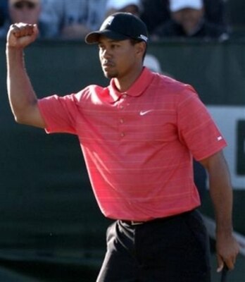 Tiger-woods2_display_image