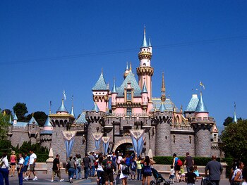 3942368835_a63d1290dd_display_image