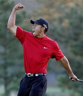 Tigerwoodsstinks_display_image