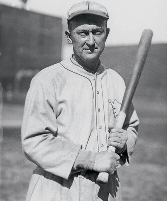 Cobb_display_image