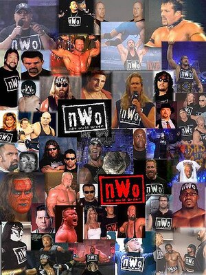 Nwo_display_image